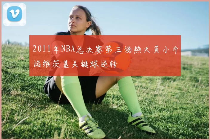2011年NBA总决赛第三场热火负小牛诺维茨基关键球逆转